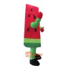 Fruit Watermelon Mascot Cartoon Costume