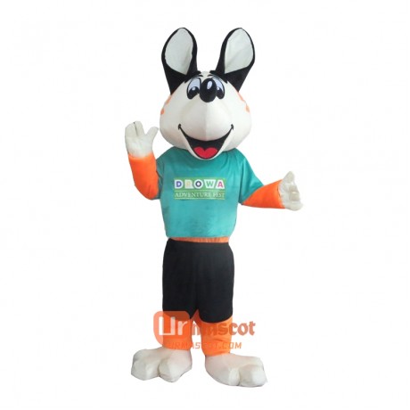 Funny Fox Mascot Cartoon Costume