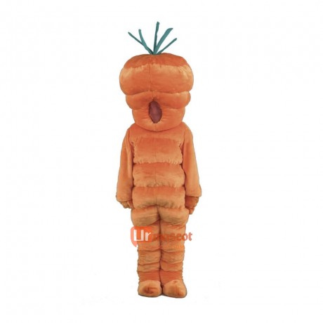 Giant Carrot Custom Cartoon Mascot Costume