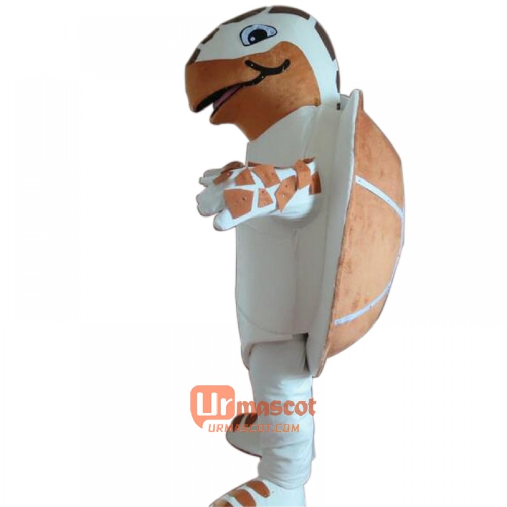 Giant Turtle Mascot Cartoon Costume