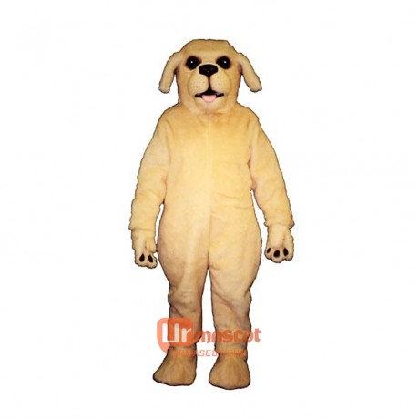 Golden Lab Cartoon Costume Mascot