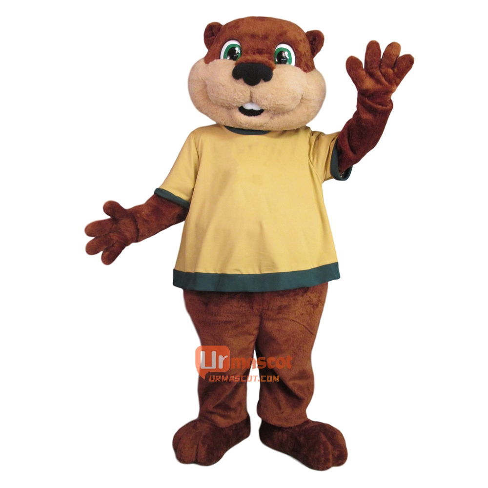 Gopher Custom Cartoon Mascot Costume