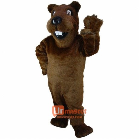 Gopher or Groundhog Cartoon Mascot Costume