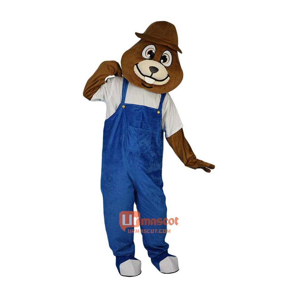 Gophers Mole Mouse Cartoon Mascot Costume Plush with Mask