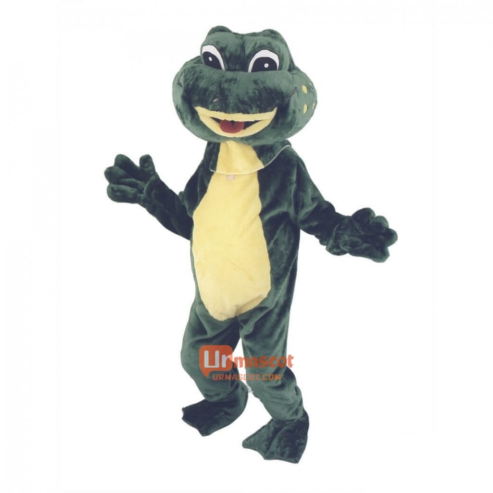 Green Frog Custom Cartoon Mascot Costume