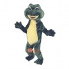 Green Frog Custom Cartoon Mascot Costume