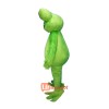 Green Frog Custom Mascot Cartoon Costume