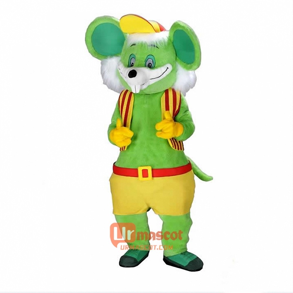 Green Mouse Custom Cartoon Mascot Costume