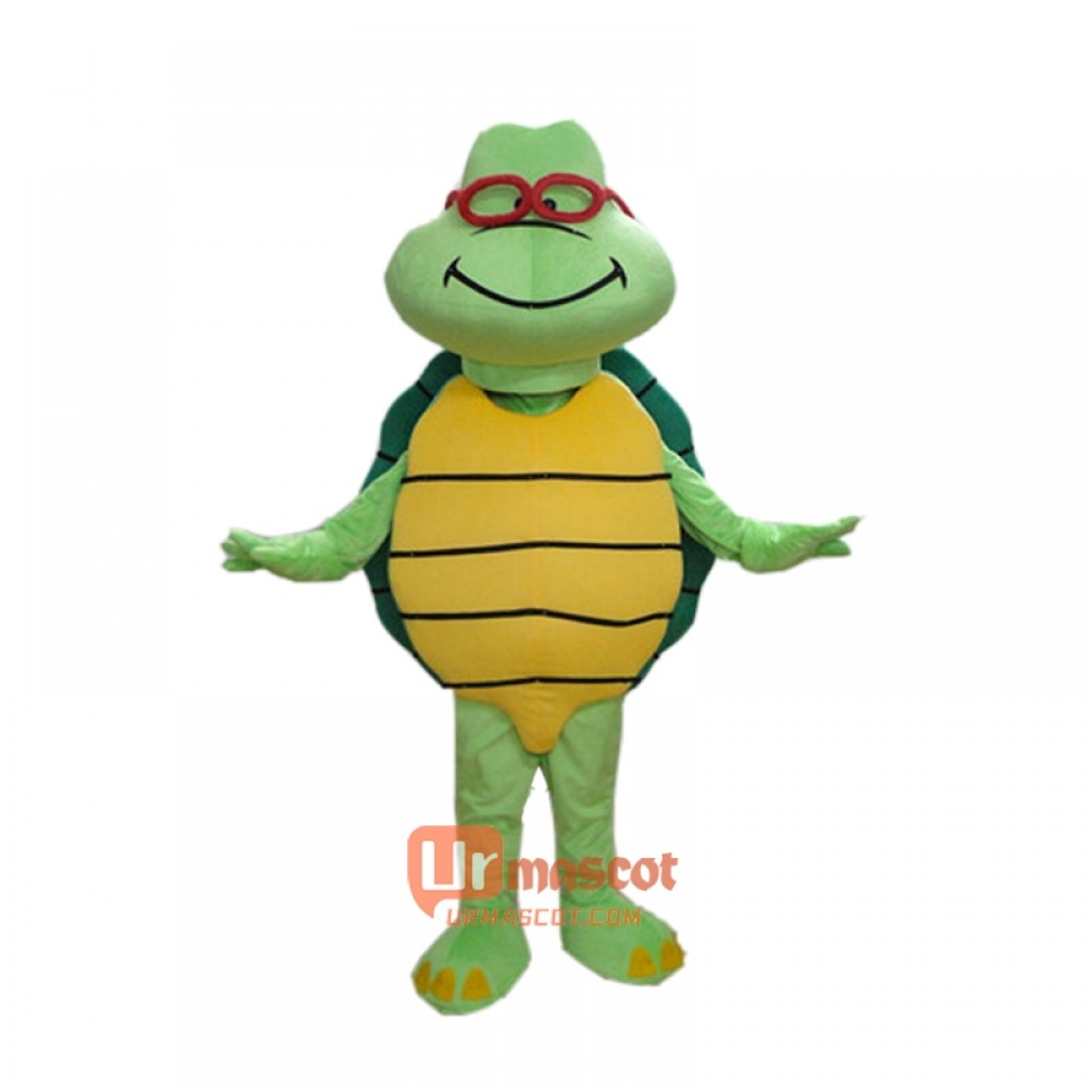 Green Turtle Custom Mascot Cartoon Costume