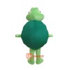 Green Turtle Custom Mascot Cartoon Costume