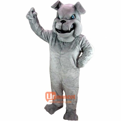 Grey Bulldog Cartoon Mascot Costume