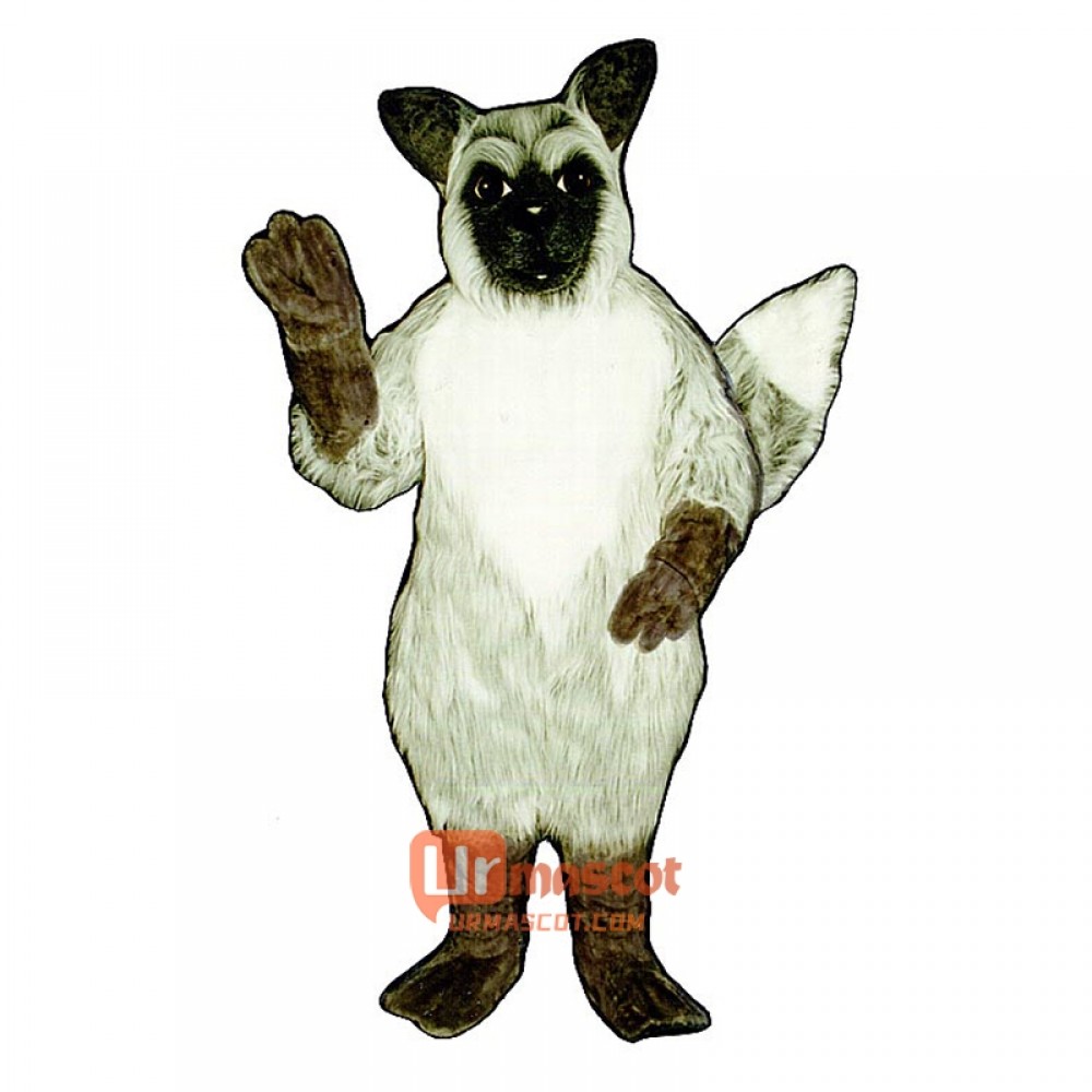 Grey Fox Cartoon Costume Mascot