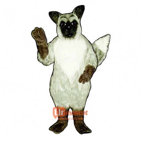 Grey Fox Cartoon Costume Mascot