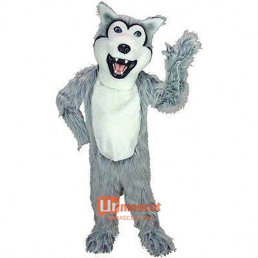 Grey Husky Dog Cartoon Mascot Costume