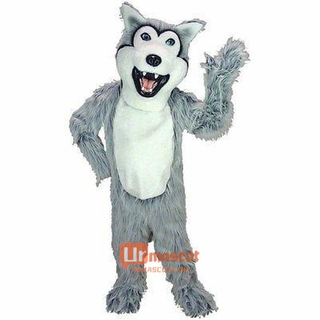 Grey Husky Dog Cartoon Mascot Costume