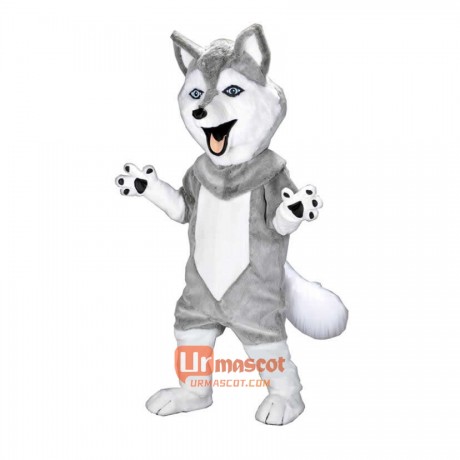 Grey Power Husky Custom Cartoon Mascot Costume