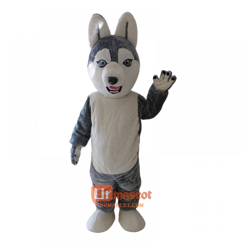 Grey Wolf Siberian Husky Mascot Cartoon Costume