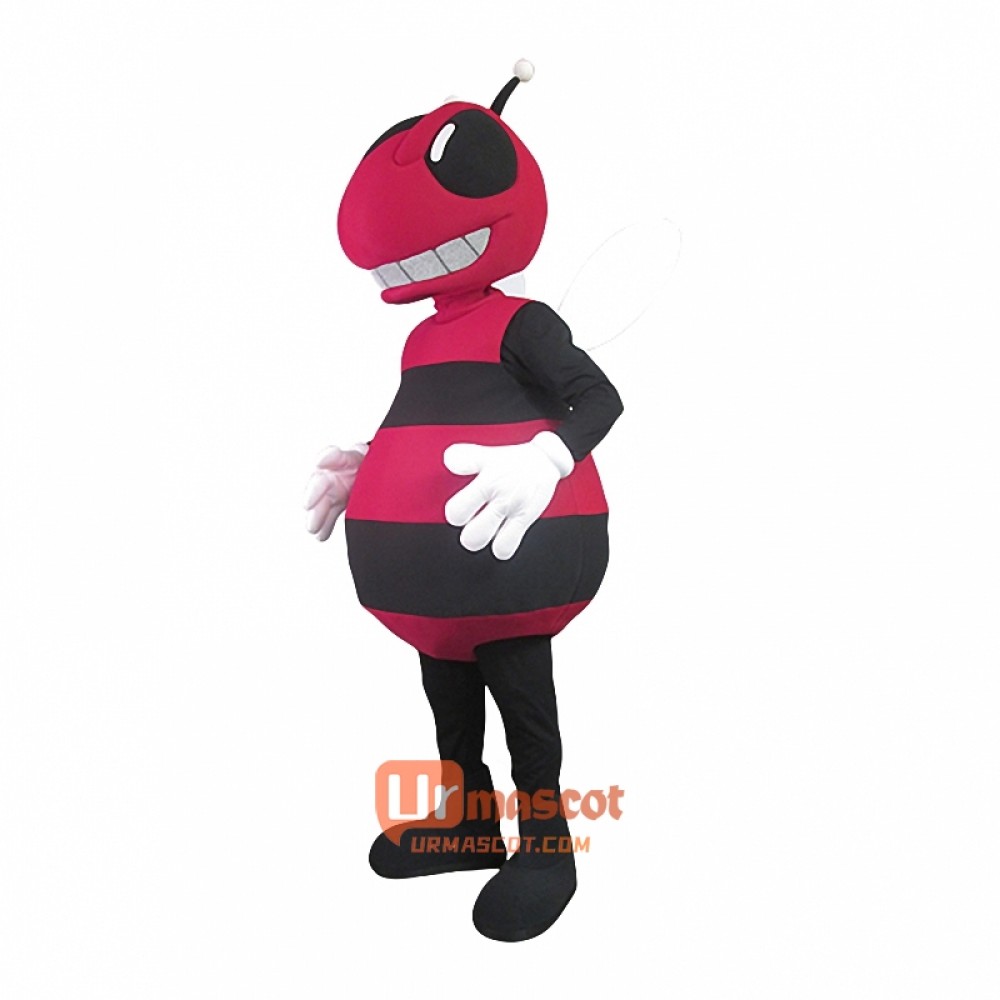 Handsome Bee Custom Cartoon Mascot Costume High Quality