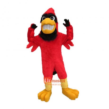 Handsome Cardinal Cartoon Mascot Costume
