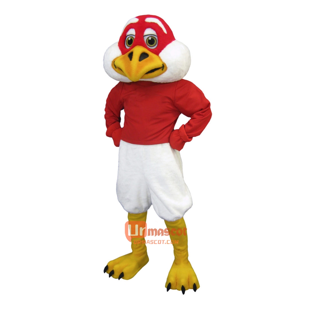 Handsome Falcon Cartoon Mascot Costume