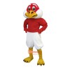 Handsome Falcon Cartoon Mascot Costume