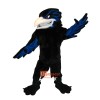 Handsome Ferocious Raven Custom Cartoon Mascot Costume
