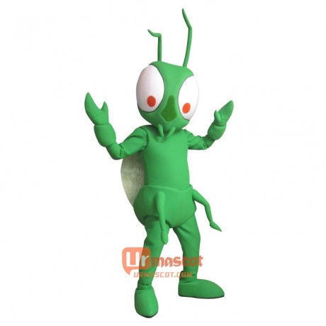 Handsome Mantis Custom Cartoon Mascot Costume