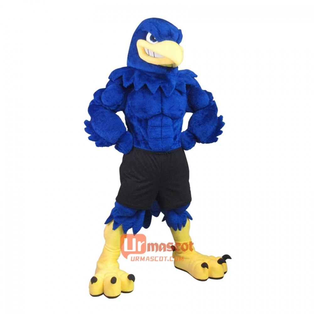 Handsome Power Falcon Custom Cartoon Mascot Costume