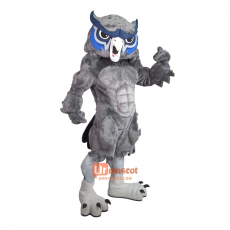 Handsome Power Owl Custom Cartoon Mascot Costume