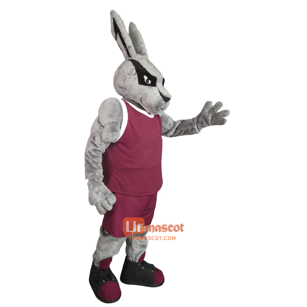 Handsome Power Rabbit Custom Cartoon Mascot Costume