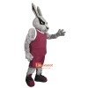 Handsome Power Rabbit Custom Cartoon Mascot Costume