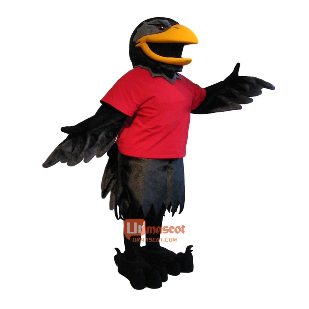 Handsome Raven Custom Cartoon Mascot Costume