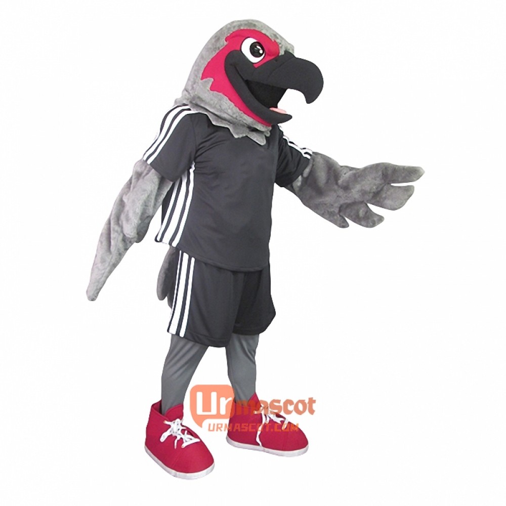 Handsome Seahawk Custom Cartoon Mascot Costume