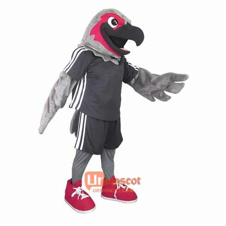 Handsome Seahawk Custom Cartoon Mascot Costume