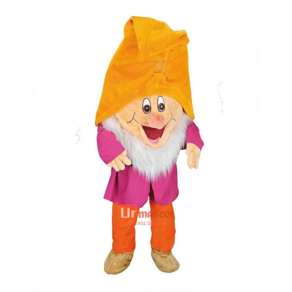 Happy 7 Dwarfs Cartoon Mascot Costume Plush with Mask