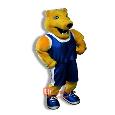 Happy College Bear Cartoon Mascot Costume Cosplay Outfits