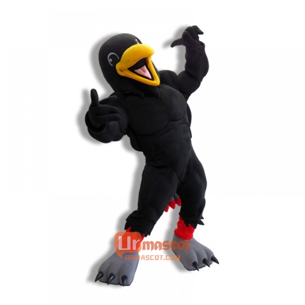 Happy Raven Cartoon Mascot Costume Cosplay Outfits