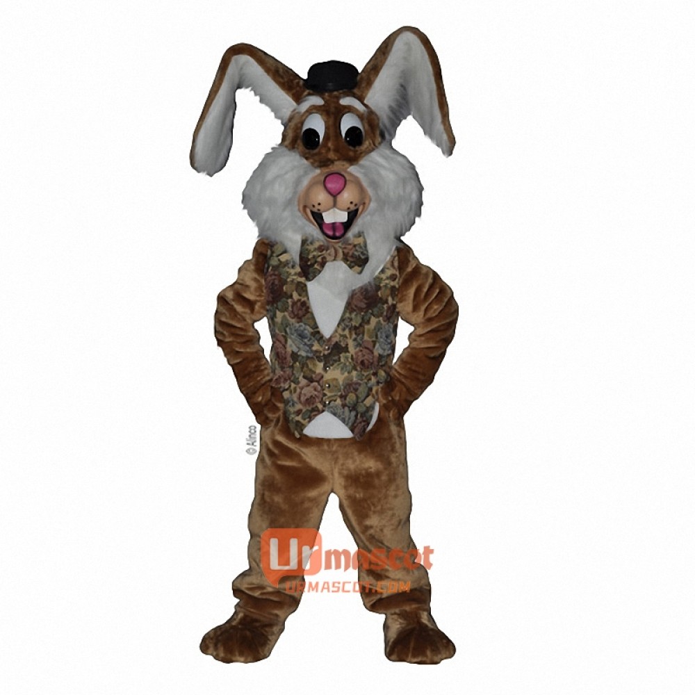 Harvey Rabbit Cartoon Costume Mascot