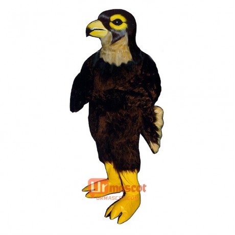 Hawk Cartoon Costume Mascot