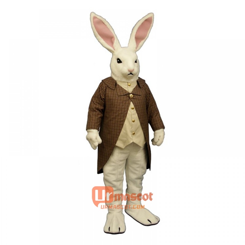 Heir Lapin Cartoon Costume Mascot