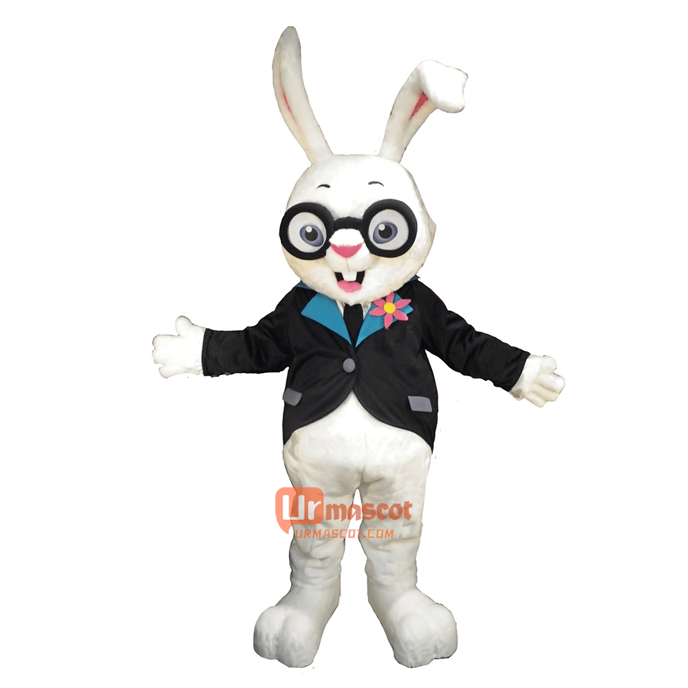 Hocus Pocus Rabbit Cartoon Mascot Costume Plush with Mask