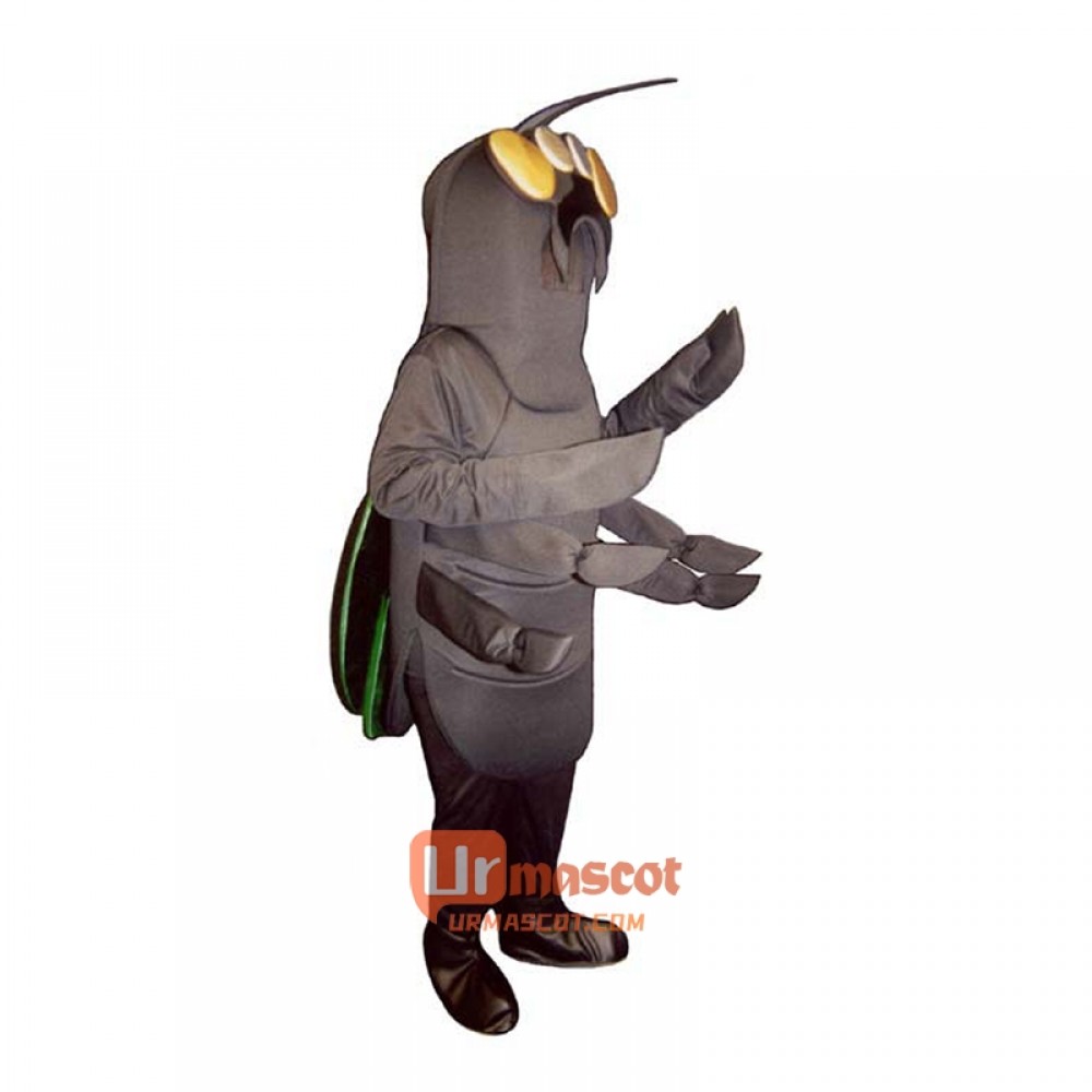 Horsefly Cartoon Costume Mascot