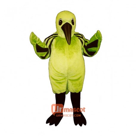 Hummingbird Cartoon Costume Mascot