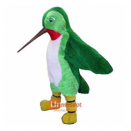 Hummingbird Cartoon Mascot Costume