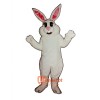 Hunny Bunny Cartoon Costume Mascot