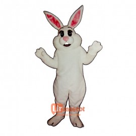 Hunny Bunny Cartoon Costume Mascot