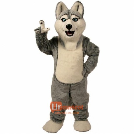 Husky Cartoon Mascot Costume
