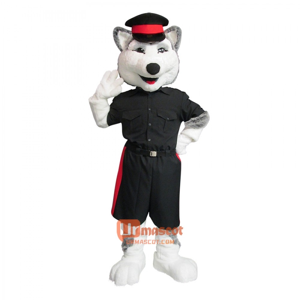 Husky Dog Custom Cartoon Mascot Costume