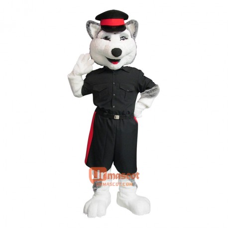 Husky Dog Custom Cartoon Mascot Costume