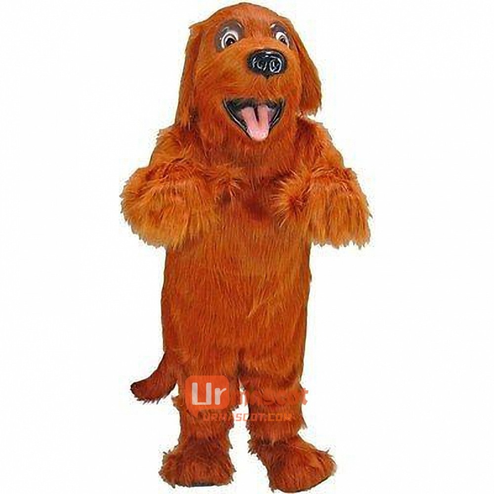 Irish Setter Cartoon Mascot Costume
